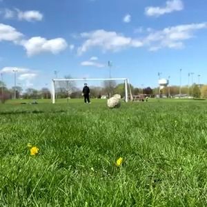 Meet your Posher, Kevin